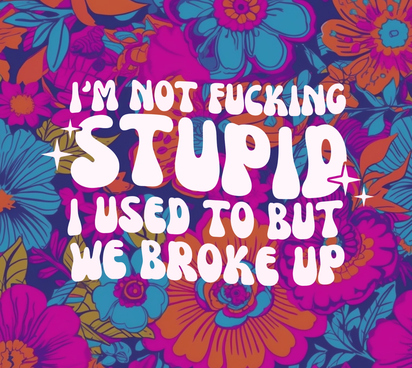 I'm Not Fucking Stupid, I Used To But We Broke Up