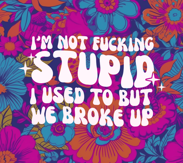 I'm Not Fucking Stupid, I Used To But We Broke Up
